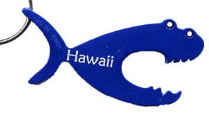 Bison&reg; Fighter Fish Opener