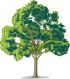 eco friendly products