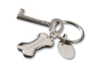 Brushed Silver Dog Bone Key Chain