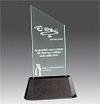 Acrylic Peak Award