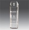 Hexagon Tower Award