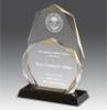 Ultimate Award