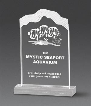 Frosted Whitecap Award