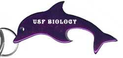 Bison&reg; Porpoise Dolphin Bottle Opener
