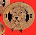 Irish Wolf Hound Dog Desktop Tribute