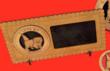 Kitten Picture Frame