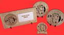 Sharpei Picture Frame