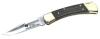 Buck Folding Hunter