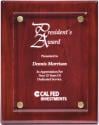 Piano Finish Floating Acrylic Plaques