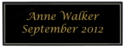 Perpetual 1x3" Pocket Plate Black