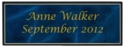 Perpetual 1x3" Pocket Plate Blue Marble