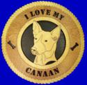 Canaan Dog Wall Tribute