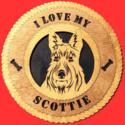 Scottie Wall Tribute