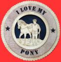 Boy Walking Horse or Pony 3D Wood Wall Tribute