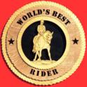 Male Dressage Horse 3D Wood Wall Tribute
