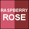 Raspberry Rose