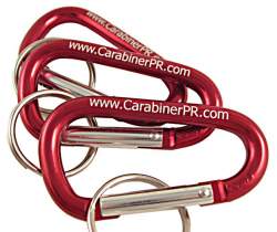 Small 2.25" Carabiner