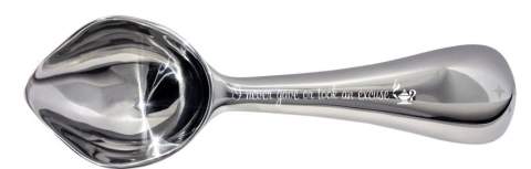 Engraved "I Never Took on an Excuse" Ice Cream Scoop for Nurses