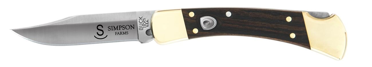 Personalized Buck 110 Auto, 3.75" blade