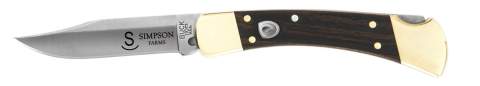Personalized Buck 110 Auto, 3.75" blade