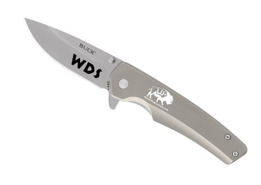 Engraved Buck Odessa 254, 3.125" blade