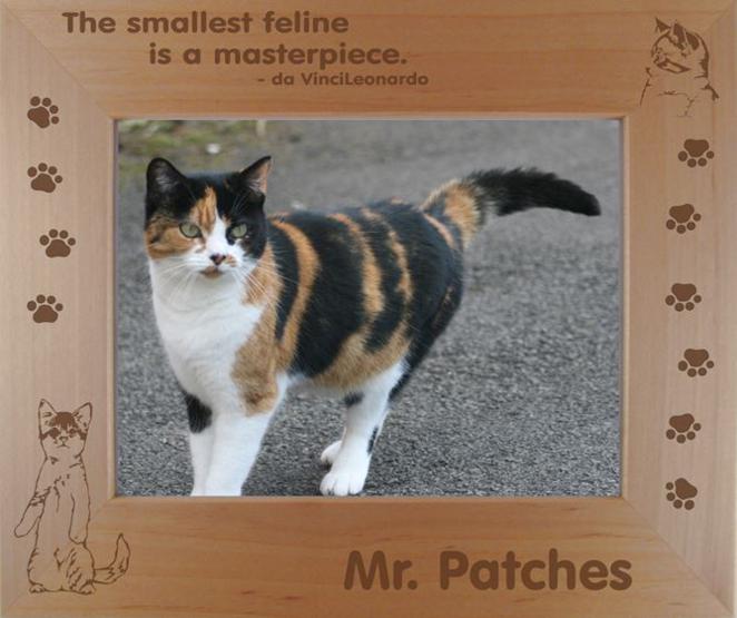 Cat Photo Frame