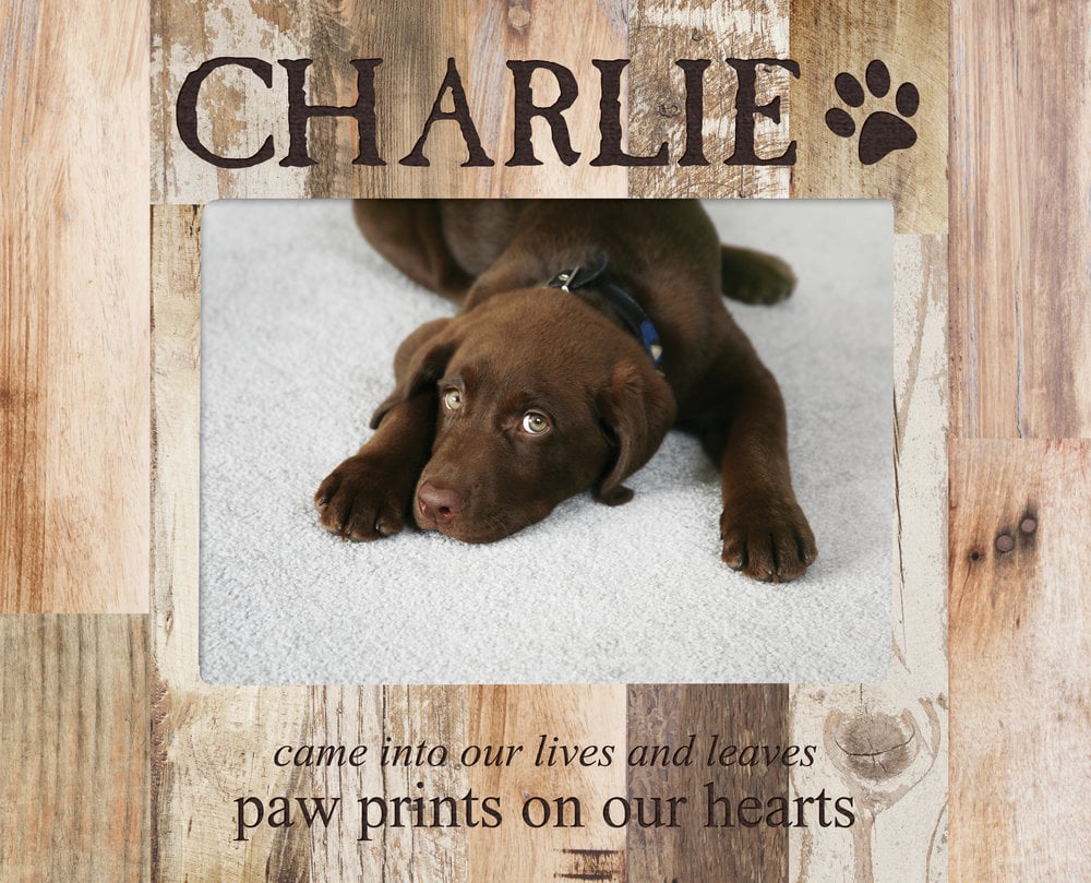 Paw Prints Pallet Frame 5" x 7"