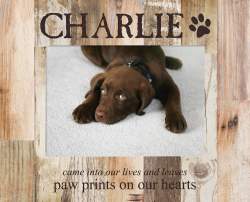 Paw Prints Pallet Frame 5" x 7"