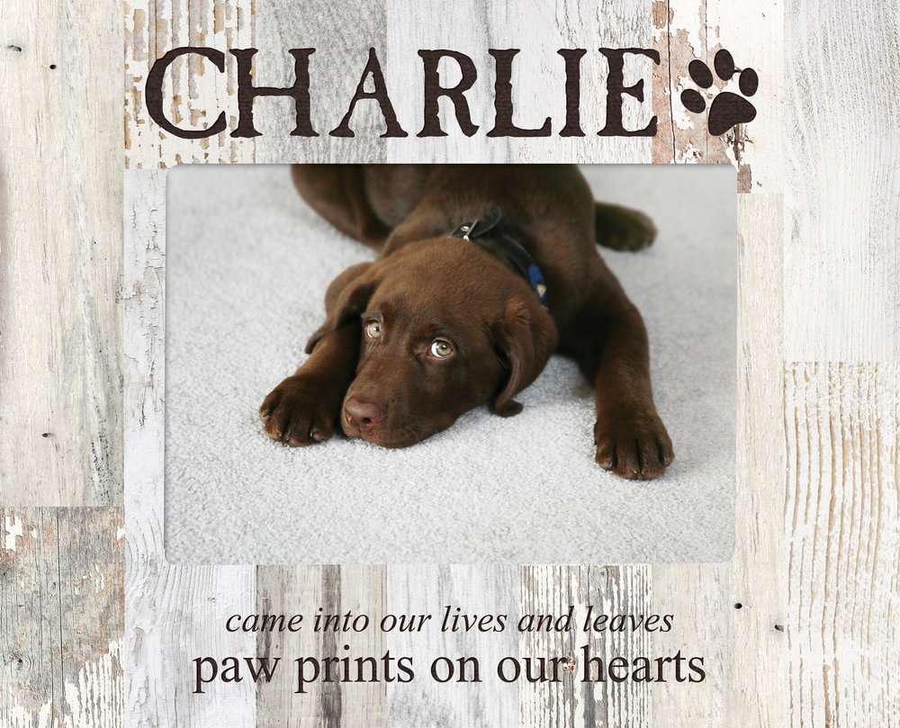 Paw Prints Pallet Frame 5" x 7"