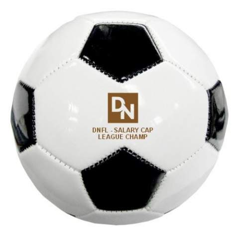 Customizable Mini Soccer Ball