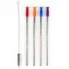 Reusable Smoothie Straws