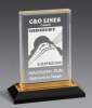 Premium Awards