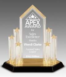 Stellar Performance Award
