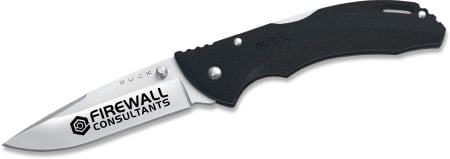 Engraved Buck Bantam BHW 286, 3 5/8" blade