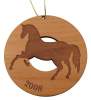 Equine and Horse Branded Merch