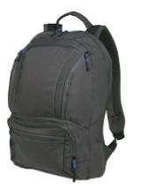 Dark Charcoal Gray/Royal Blue