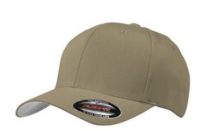 Coyote Brown