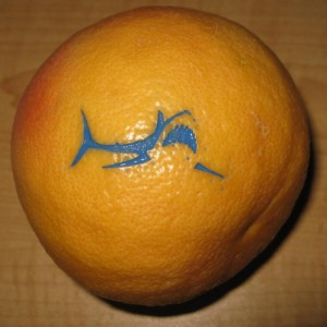 Laser Engraved Grapefruit Color Filled