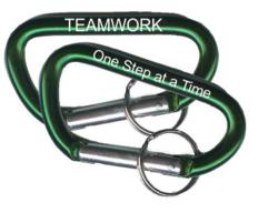 seahawks carabiners
