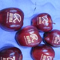Engraved Apples 1