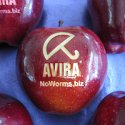 Laser Engraved Food