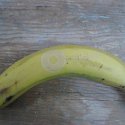 laser engraved banana