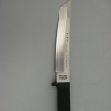 Etched Stainless Knife